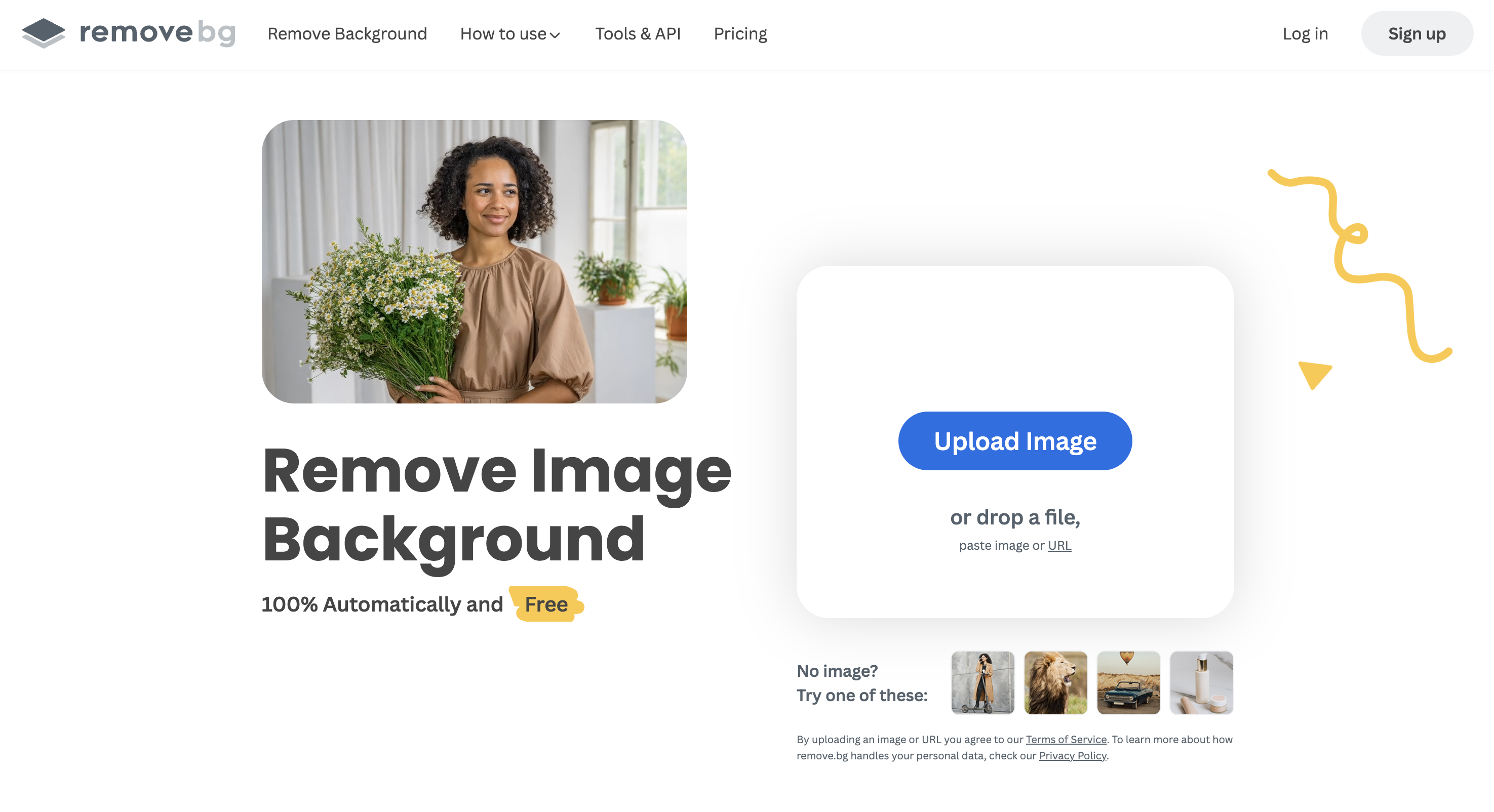 Remove.bg AI background removal tool before and after image with subject isolated