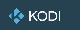 Kodi media center library view