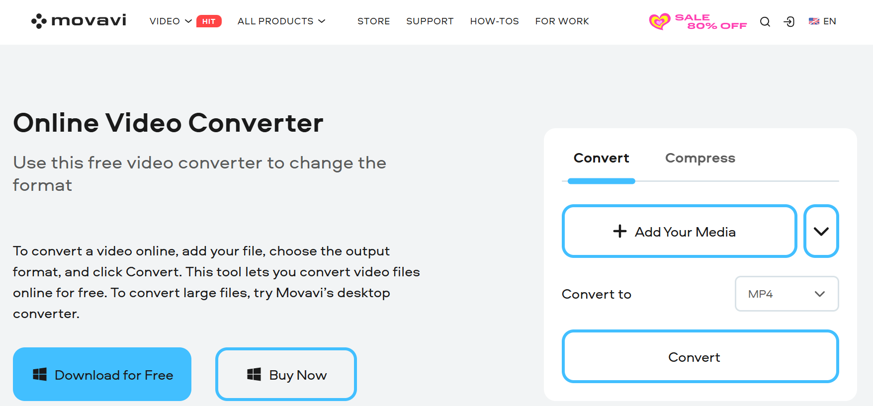 Movavi Video Converter interface showing MKV to MP4 conversion